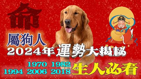 1970生肖狗|生肖狗: 性格，愛情，2024運勢，生肖1994，2006，2018